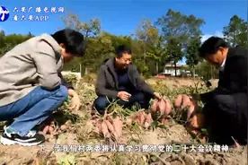 霍山县黑石渡镇：党建引领产业发展 努力打造“仙蔬小镇”视频封面
