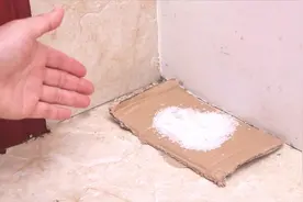 不管家里有钱没钱，记得要在墙角撒把食盐，用途厉害，省钱又好用视频封面