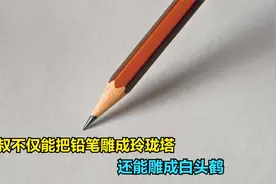 大叔能用铅笔雕成艺术品，而且雕得栩栩如生！视频封面