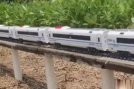 河南一学生在自家树林建造高铁模型及通行轨道，网友：真是人才！视频封面