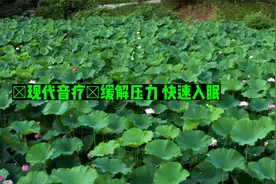 【五音疗愈】失眠治疗 助眠冥想：雪暗凋旗画，风多杂鼓声！视频封面