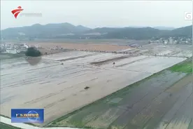 藏粮于技 藏粮于地 构筑保障粮食安全的广东堡垒视频封面