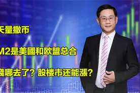 天量撒币，M2是美國和欧盟总合，錢哪去了？股楼市还能漲？视频封面