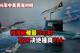 1994年中美黄海对峙，核潜艇被困72小时，苏27决绝撞向F14视频封面