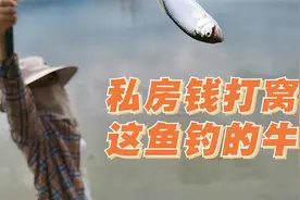 如何同化老婆钓鱼入坑？女钓手户外钓鱼技巧休闲野钓知识方法教学视频封面