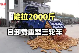 能拉2000斤，这款自卸载重型电动三轮车，省力方便，全国上牌上路视频封面