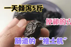 西梅和水是掉秤最快的组合，一天干掉5斤，号称便便的“推土机”视频封面