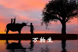 万物生（梵语）- 萨顶顶 （人 动物 自然和谐图片欣赏）视频封面