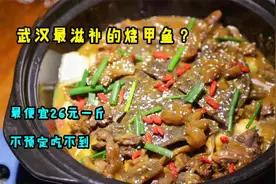 武汉最滋补的甲鱼火锅？最贵166元一斤，3斤煮一锅，汤泡饭太好吃视频封面