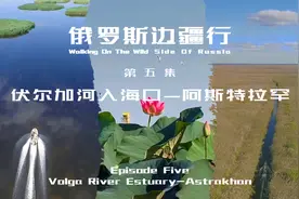 《俄罗斯边疆行》第五集：伏尔加河入海口—阿斯特拉罕视频封面