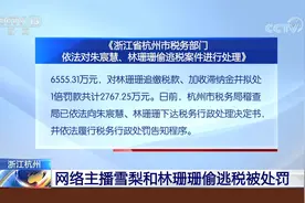 网络主播雪梨和林珊珊偷逃税被处罚 6555.31万元、2767.25万元视频封面