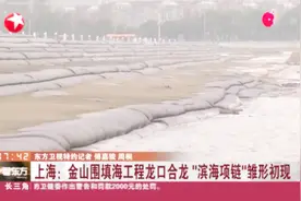 上海金山围填海工程龙口合龙，“滨海项链”雏形初现视频封面