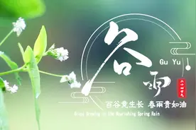 谷雨：百谷竞生长 春雨贵如油视频封面