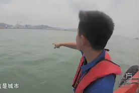 运气不错！记者在厦门偶遇中华白海豚群视频封面
