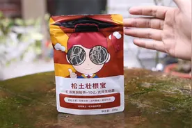 养花土壤变硬怎么办？园艺师教你，用松土壮根宝，什么花都可以用视频封面