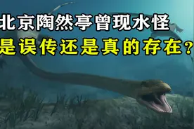 清朝年间，北京陶然亭曾现水怪，究竟是民间误传还是真的存在？视频封面