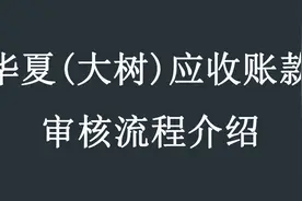 大树普惠审核多久？初审过了终审会过吗？企业发票贷教学讲解！视频封面