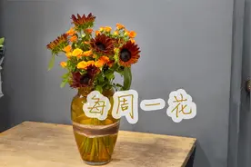 【大叔说花】每周一花70/橙色多头玫瑰巧克力向日葵/家庭瓶插鲜花视频封面