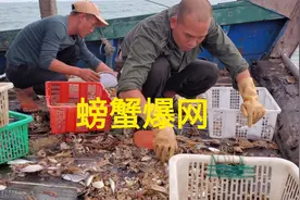 靓女包船出海捕捞，收网后看到一堆螃蟹，爆网了视频封面