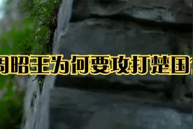 周昭王为何要攻打楚国？视频封面