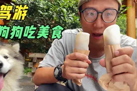 带着狗狗自驾游云南，品尝当地特色小吃烤耳块，一口下去超过瘾视频封面