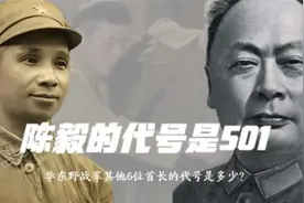 陈毅的代号是501，华东野战军其他6位首长的代号是多少？视频封面