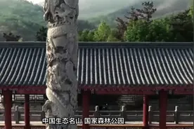 踏青去哪？盘点山东著名的旅游景区视频封面