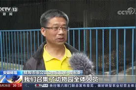 3天2起老虎咬死饲养员事件 蚌埠一动物园饲养员遭老虎攻击死亡视频封面