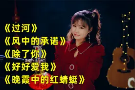 520经典情歌《晚霞中的红蜻蜓》《过河》《除了你》《好好爱我》视频封面