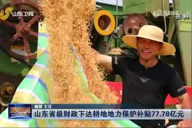 77.78亿！山东省级财政下达耕地地力保护补贴，真金白银直补到户视频封面