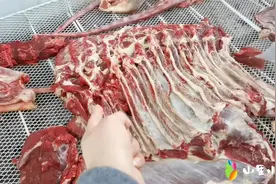 甘南现杀驴肉43，驴马肉包蒸饺吃不出区别，肉质做对比一目了然视频封面