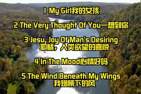 欧美浪漫曲，经典纯音乐精选合辑二十四！视频封面