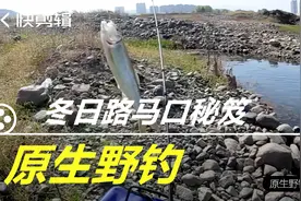 冬日路亚马口钓点怎么选？得听大神粉丝的冬日路亚马口秘笈（上）视频封面