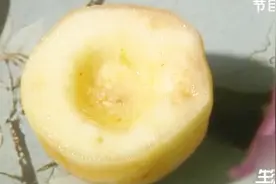 川贝雪梨盅怎么做？做法讲究效果好，秋季润肺必备！视频封面
