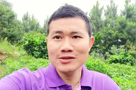 柑橘果树这样套种有高招！脐橙果树长势快又好，果农说又学到一招视频封面