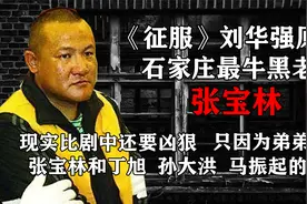 《征服》刘华强原型张宝林，从小无爸无妈，为保护弟弟疯狂报复！视频封面