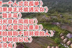 想一个人才会孤单，如果来生还能遇见你，阳光总在风雨后视频封面