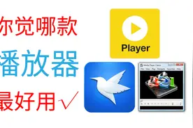 最好用的电脑视频播放器你觉得是那一个？