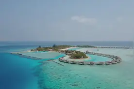 伟人毛主席的诗词：不抓不行，抓而不紧也不行。视频封面