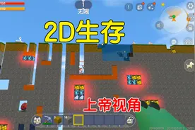 迷你世界：2D生存！可用手机切换成上帝视角，全图的钻石一览无余视频封面