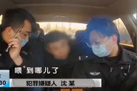 门口的豪车，引来对面贼惦记，昔日狱友联手偷窃视频封面