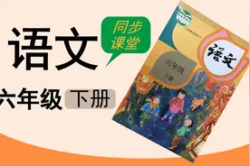 人教版湖北同步网课小学语文六年级下册复习课4.1视频封面