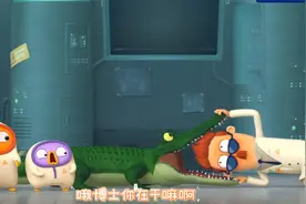 本以为是恶搞没想到真的来了鳄鱼🐊视频封面