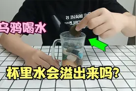 课本中《乌鸦喝水》的故事是骗人的吗？阿杰实测真假！视频封面