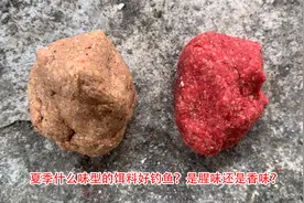夏季什么味型的饵料好钓鱼？是腥味还是香味？视频封面