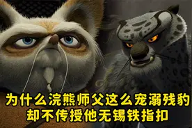 为什么浣熊师父这么宠溺残豹，却不传授他无锡铁指扣视频封面