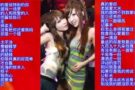 夜店/酒吧/车载必备超燃动感劲爆DJ歌曲40首