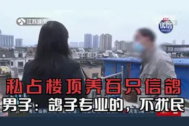 南京：私占楼顶养了100多只信鸽！男子：鸽子是专业的，不扰民视频封面