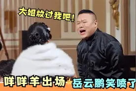 咩咩羊大姐爆笑归来，一出场众星全部笑喷！岳云鹏自闭：放过我吧视频封面