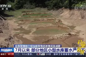 南方多地高温干旱，应急管理部介绍当前旱情总体情况及成因视频封面